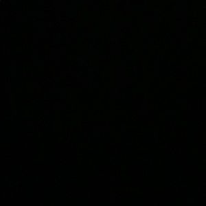 Meet your Posher, Gabriela